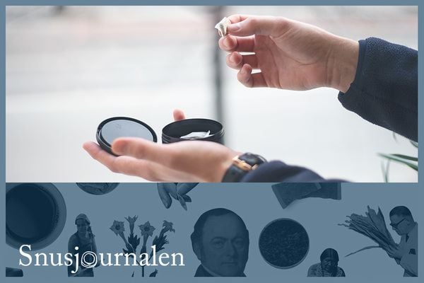 Brister i utredning om nikotin- och tobaksprodukter