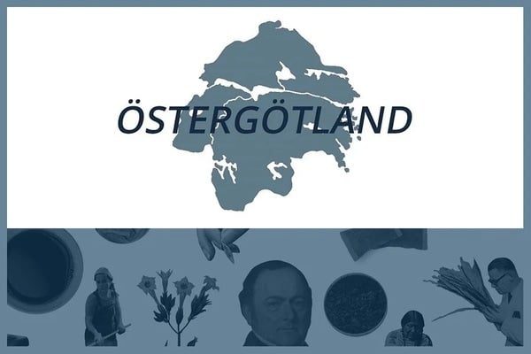 Så här snusar man i Östergötlands län